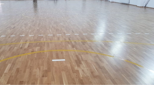 Sala de Sport ‑ Santana , jud. Arad